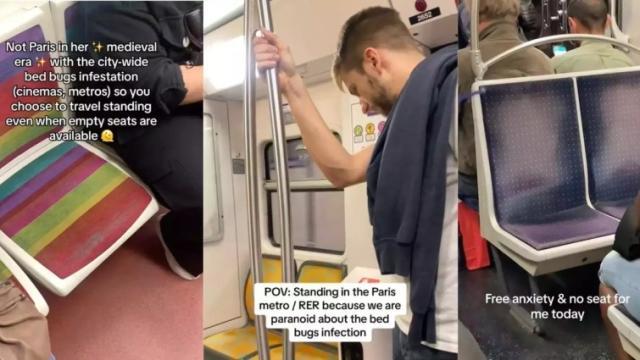 1696572337380092794.jpg 5.jpg